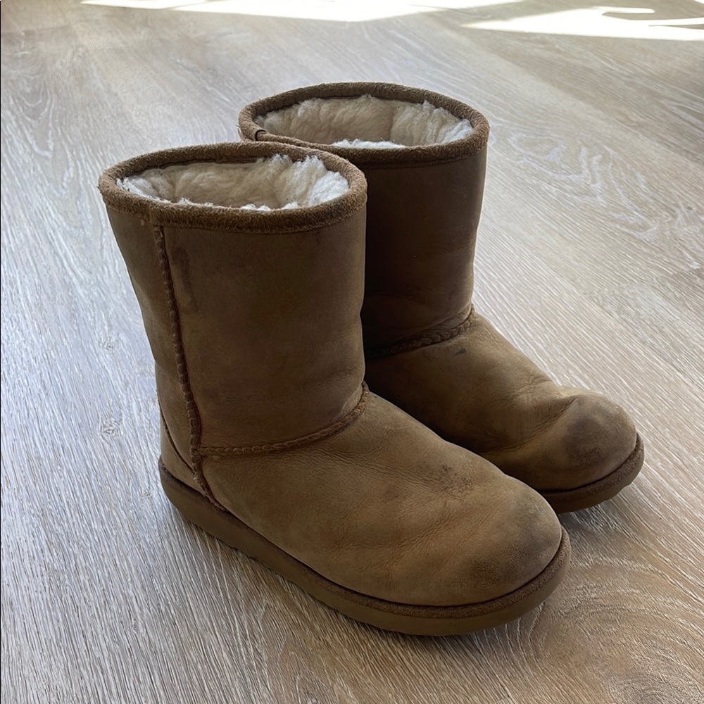 UGG Brown Classic Sheepskin Boots